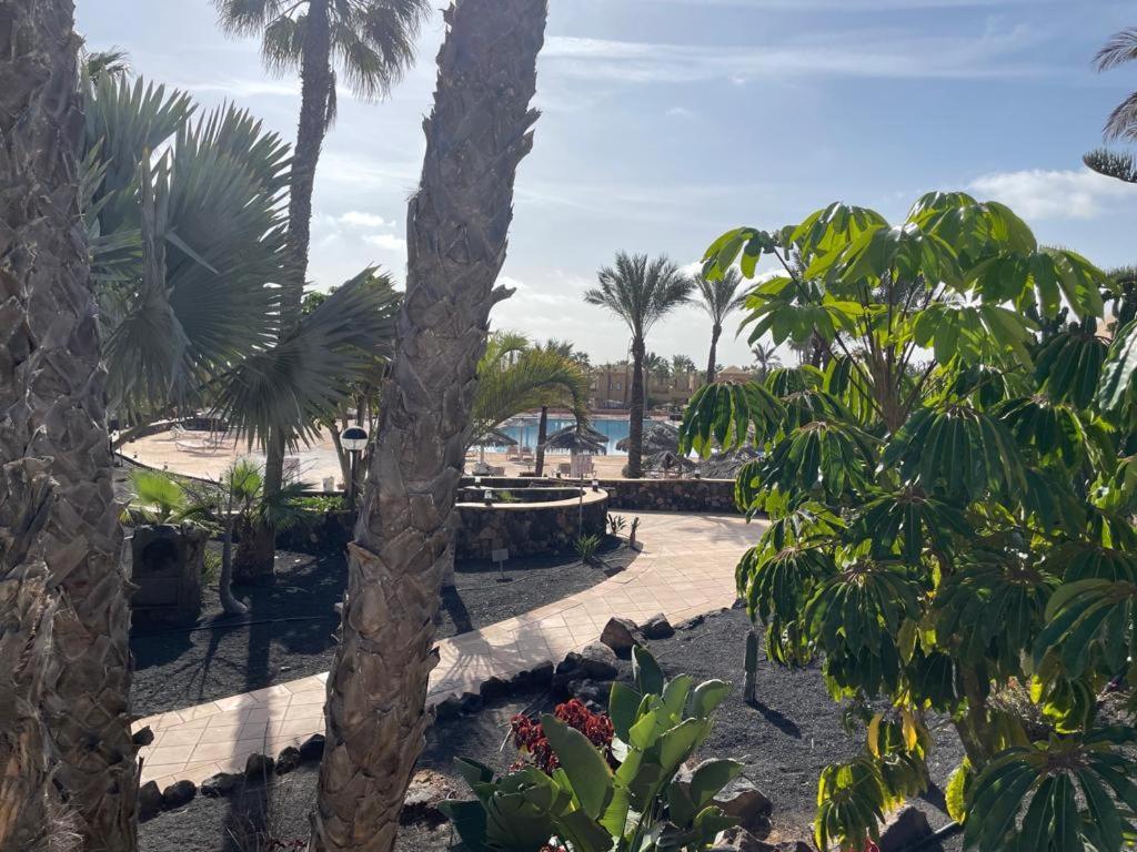 Casa Mari Y Jose Con Grandes Piscinas Y Wifi Gratis Daire Corralejo Dış mekan fotoğraf